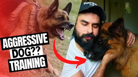 Aggressive Dog Training || Hindi/Urdu - YouTube