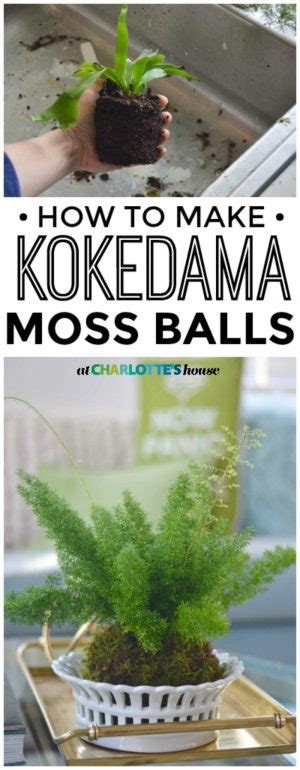 DIY Kokedama Moss Balls - At Charlotte's House