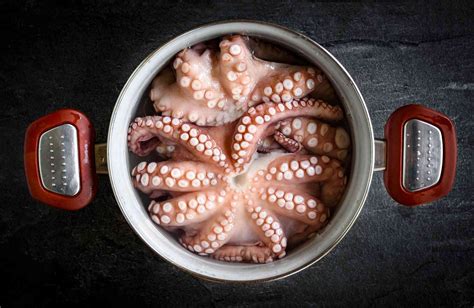 How Long To Cook Octopus - foodrecipestory