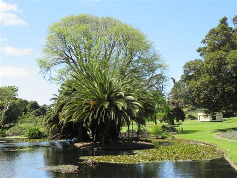 Warrnambool Botanic Gardens: UPDATED 2021 All You Need to Know Before You Go (with PHOTOS)