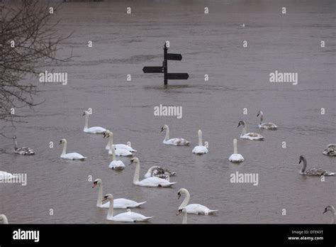 Worcester Flooding 2014 Stock Photo - Alamy