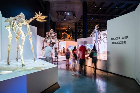 Houston Museum of Natural Science will reopen starting May 15 ...