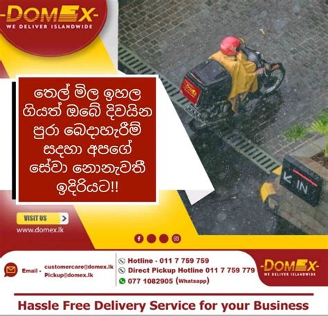 Domex | Courier Service in Sri Lanka | Express Delivery Service