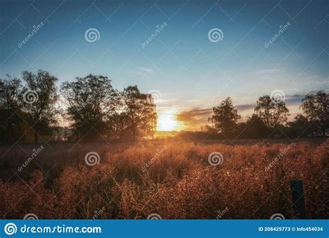 A Beautiful Sunset in the Silhouette of Trees and Bushes Stock Image - Image of golden ...