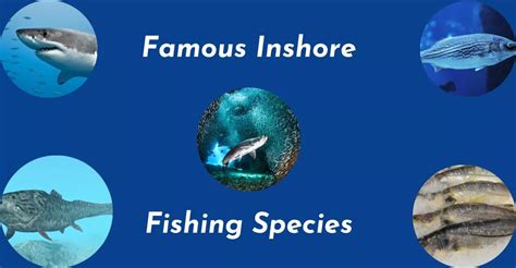 Famous Inshore Fishing Species- Unveiling Exciting Guide 2023