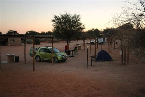 The Ultimate Kgalagadi Transfrontier Park Safari Guide - STINGY NOMADS