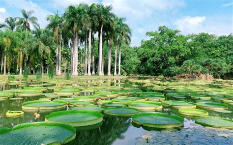 Xishuangbanna Tropical Botanical Garden: a Great Family Tour Destination