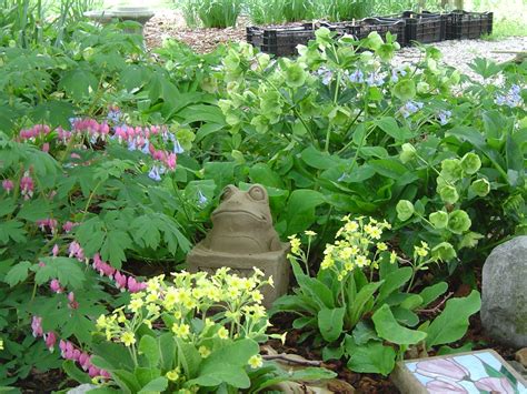 The Love of Hellebores | Shade garden, Garden design, Peonies garden