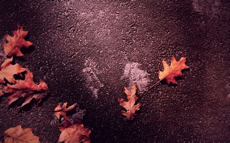 Orange dry leaves, fall, leaves HD wallpaper | Wallpaper Flare