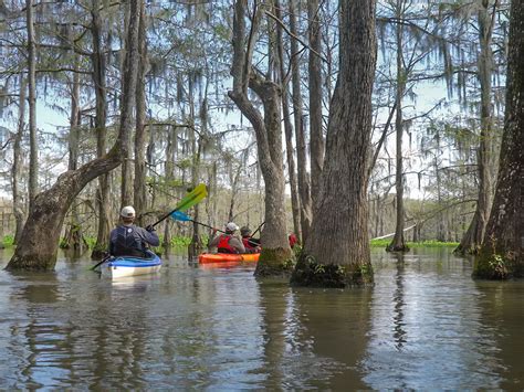 Chicot State Park beautiful canoe trails | The Heart of Louisiana