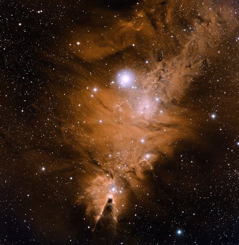 NGC 2264, Cone Nebula, Fox Fur Nebula | NOIRLab