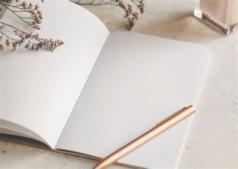 Free Meditation Journal Template (+ Examples) To Make Journaling Easier