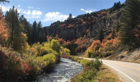 Logan Canyon In Utah Is The Perfect Place To See Fall Foliage