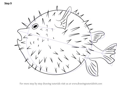 Learn How to Draw a Pufferfish (Fishes) Step by Step : Drawing Tutorials