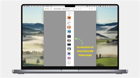 How to screenshot of an entire web page on Mac