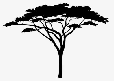 African Tree Silhouette Png , Png Download - Acacia Tree 3d Model, Transparent Png - kindpng