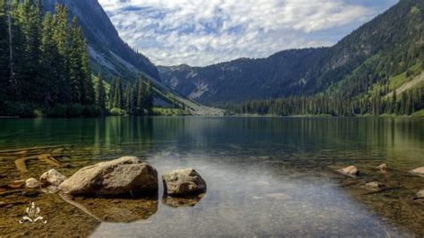 Falls Lake Trail Photo | Hiking Photo Contest | Vancouver Trails