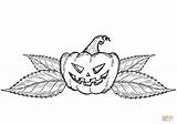 Jack O Lantern coloring Page  Free Printable Coloring Pages sketch template