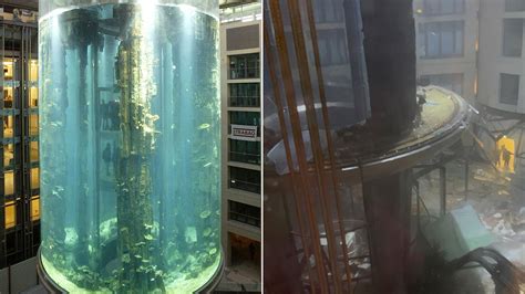 Massive Berlin aquarium with 1,500 fish bursts, injuring 2 and flooding hotel with 260K gallons ...