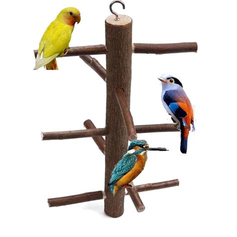 Bird Perches Wood & Play Stand | Bird, Bird perch, Dog seat belt