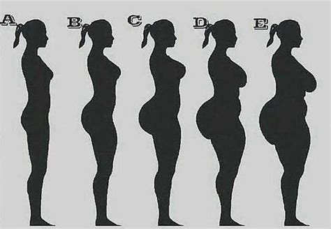 What the 'Perfect' Female Body Looks Like, According to This Insane ...