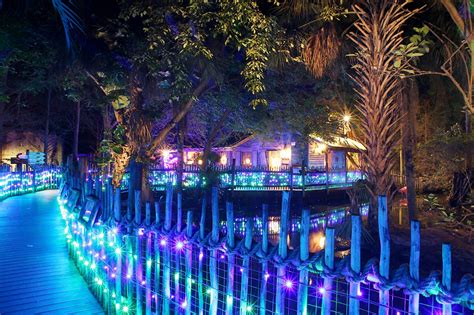 Zoo Lights twinkling at Palm Beach Zoo | LaptrinhX / News