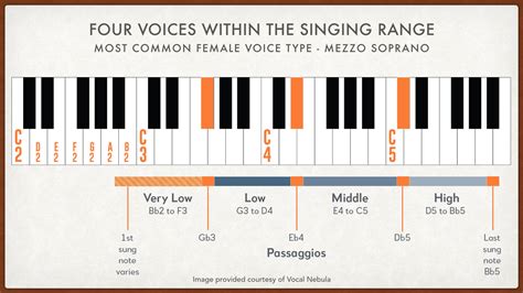 Find Your Vocal Range and Voice Type Test | VOCAL NEBULA