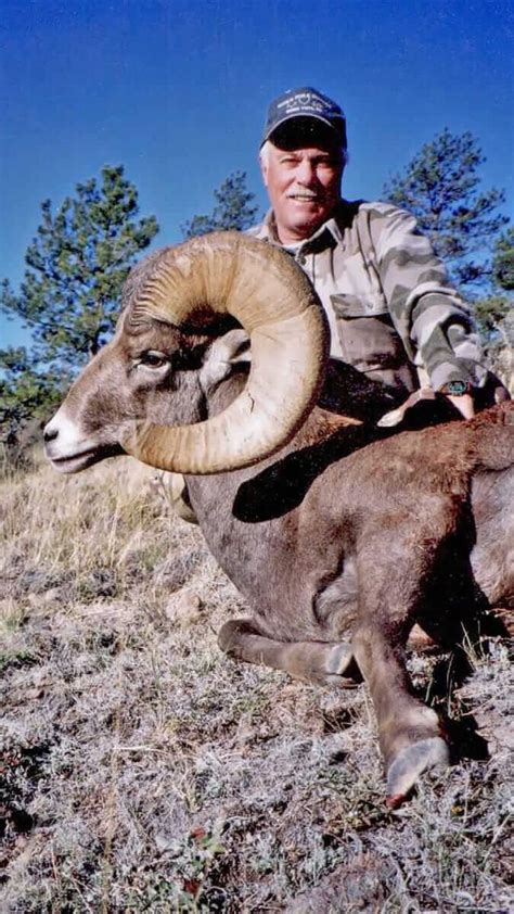 Bighorn Sheep Hunting Guides – Horn Fork Guides