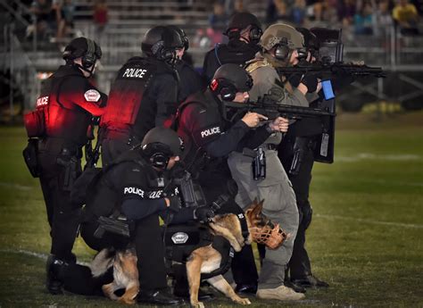 Dogs and their handlers demonstrate skills during OCPCA's 29th K9 show ...