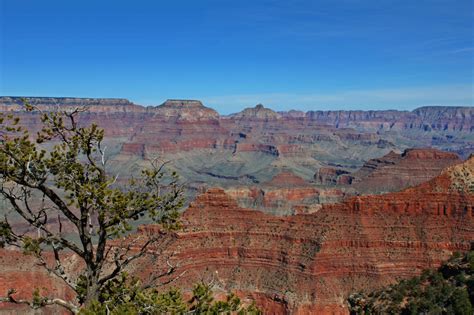 Grand Canyon, am Yavapai Point, USA