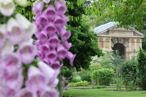 In Oxford, England, a botanical garden for both self-indulgence and ...