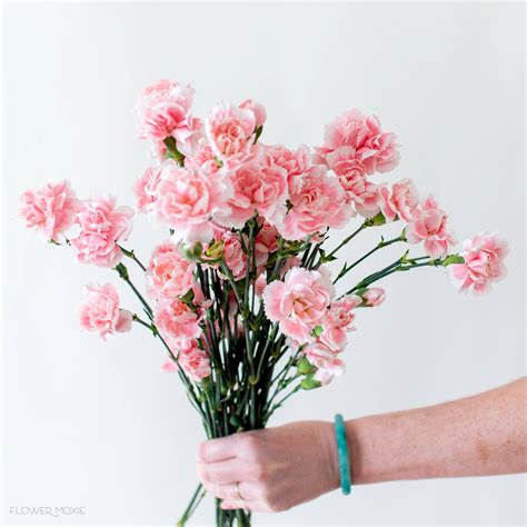 Bulk Flowers Online: Fresh Wholesale Flowers for DIY Weddings — Flower Moxie