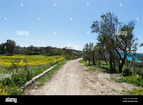 Visiting Ashkelon National Park, Israel Stock Photo - Alamy