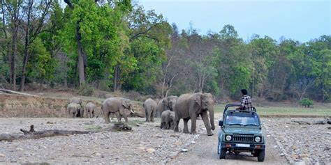 Rajaji National Park Dehradun (Entry Fee, Timings, History, Built by, Images & Location ...