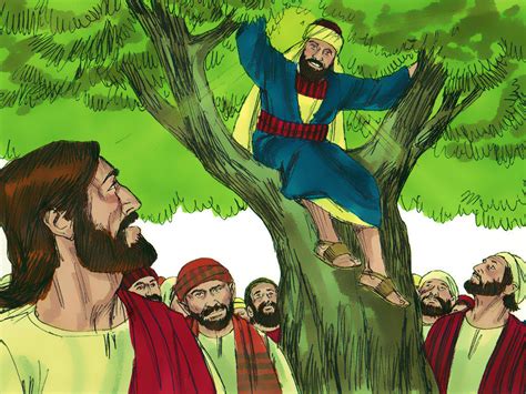 zacchaeus in tree clipart 10 free Cliparts | Download images on ...