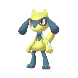 Riolu - #447 - Serebii.net Pokédex