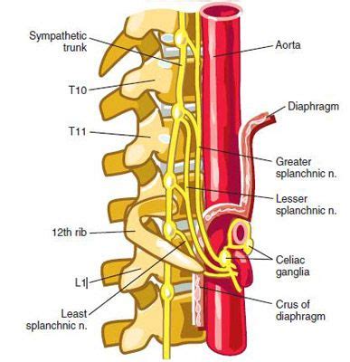 Fluoroscopic Guided Celiac Plexus/Splanchnic Nerve Block - Technique and Overview - The ...