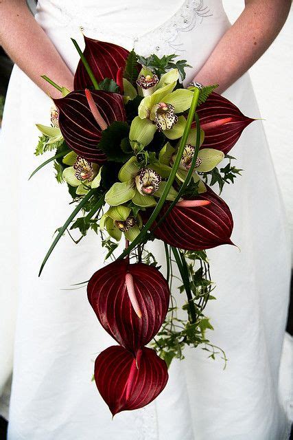 114 best Anthurium♥♥♥ images on Pinterest | Flower arrangements, Floral ...