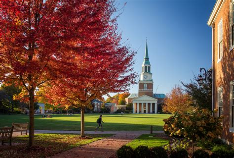 Undergraduate Admissions | Wake Forest University