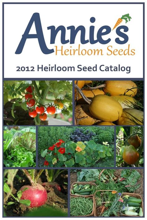 Try them out. Heirloom Seeds Catalog, Seed Catalogs, All The Way, Pumpkin Patch, Heirlooms ...