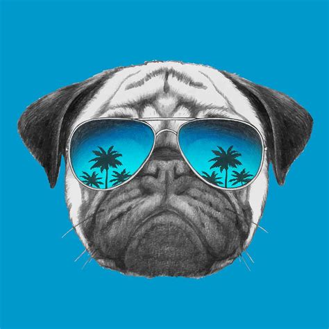 Dog With Sunglasses Drawing at GetDrawings | Free download