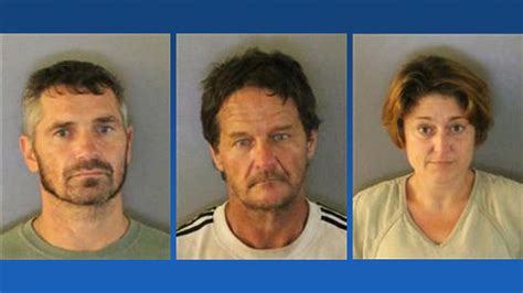 3 arrested in Charlotte County drug bust