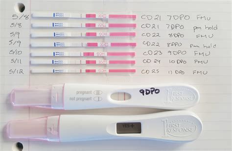 Dpo Pregnancy Test Chart