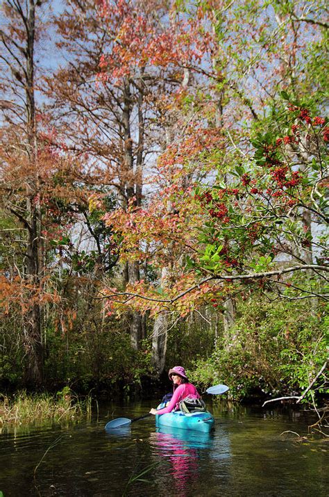 Kayaking Florida 2 Photograph by Steve Williams | Fine Art America