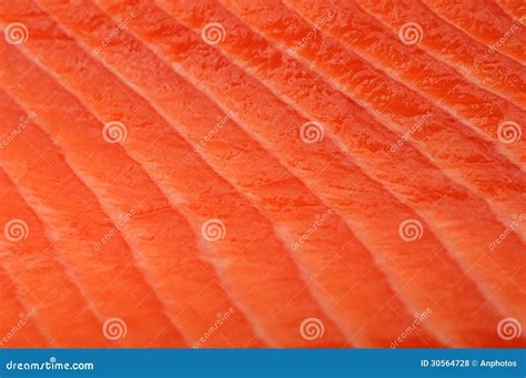 Filleted salmon stock photo. Image of seafood, steak - 30564728