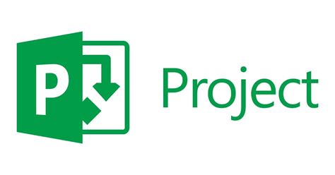 Microsoft Project 2016 Professional