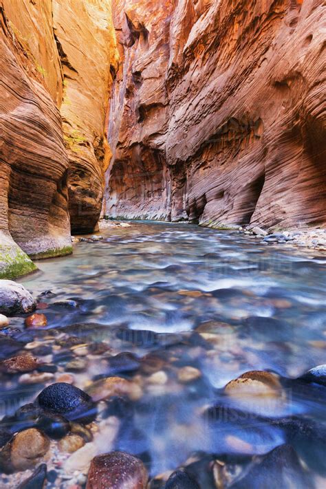 Sunlight reflecting in the virgin river narrows in zion national park ...