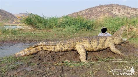 Crocodile Hunting | AfricaHunting.com