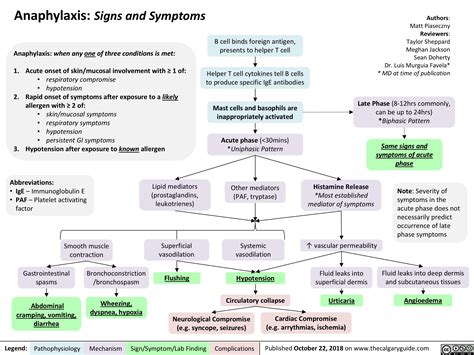 Anaphylaxis: Signs and Symptoms | Calgary Guide