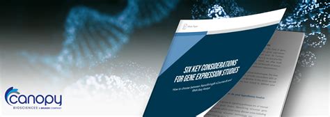 How to Select the Right Assay for Gene Expression Studies